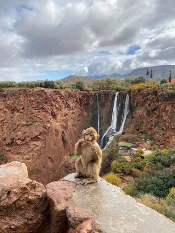 Azrou trip