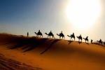 desert tour