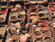 Fes Tannery