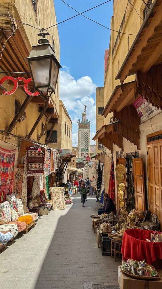 fes day trip