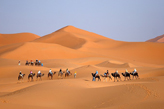 tours desert with camel trekking