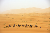 tours desert marrakech with camel trekking