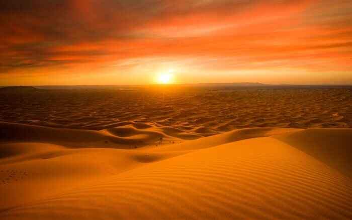 Sunset in the Desert