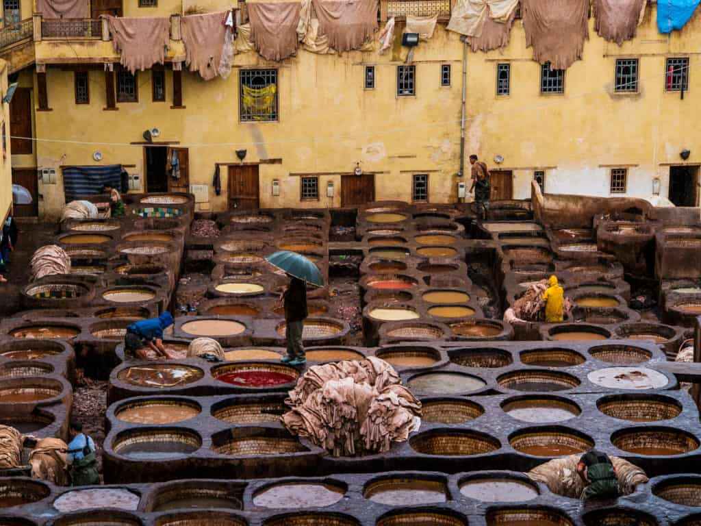 Tannery Day