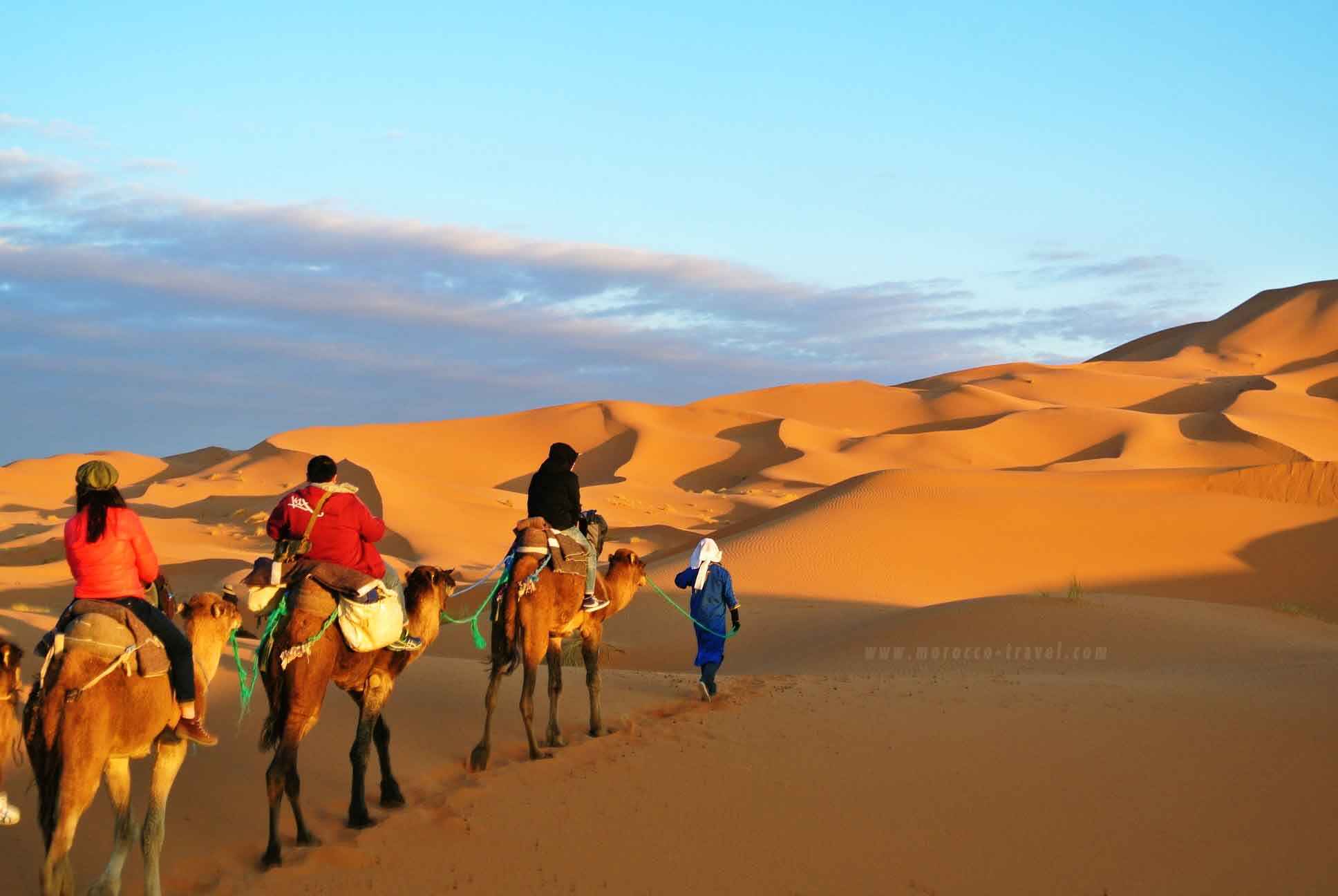 Desert tour