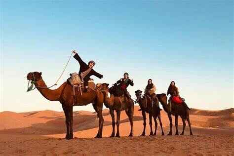 Desert tour